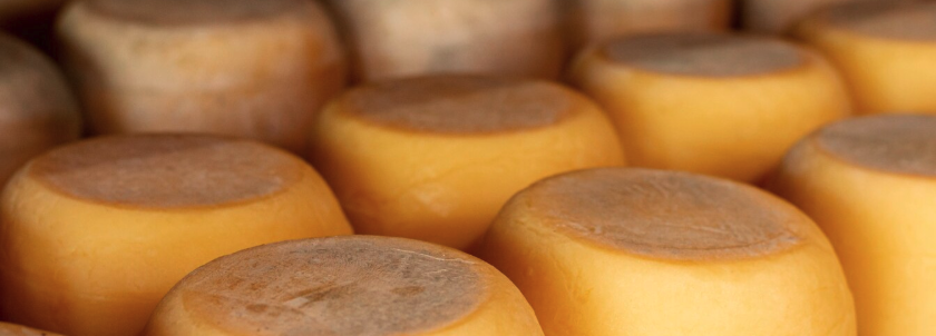 Como Harmonizar Queijo Minas e Canastra com Vinhos?
