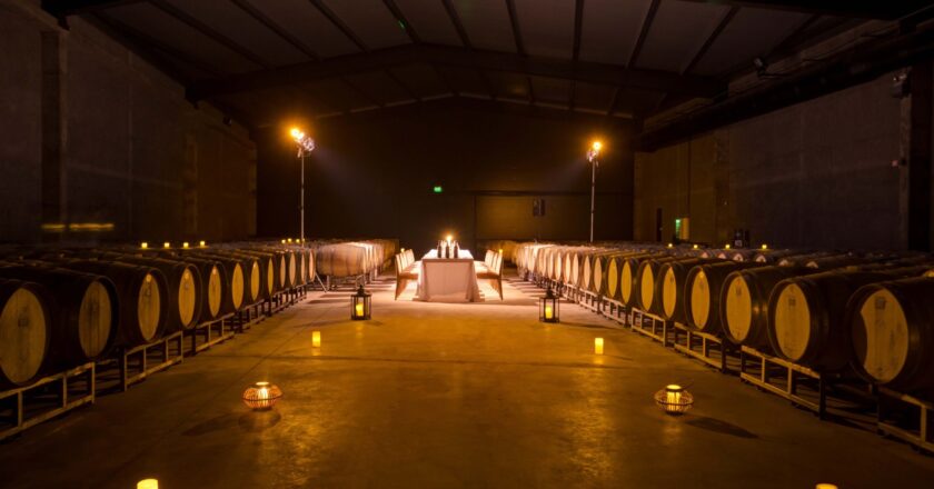 A elegância em forma de vinho branco: Grand Chardonnay da Alpasión